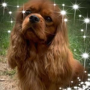 Meet your Posher, Belinda